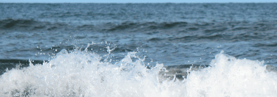 Susanne Golnick sgoweb