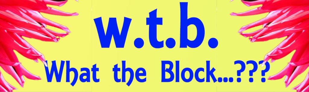 What the block...??? by sgo